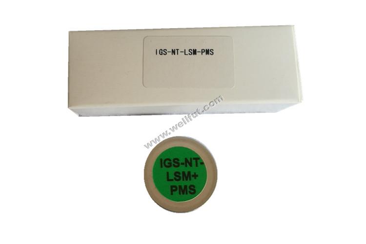 ​IGS-NT-LSM+PMS